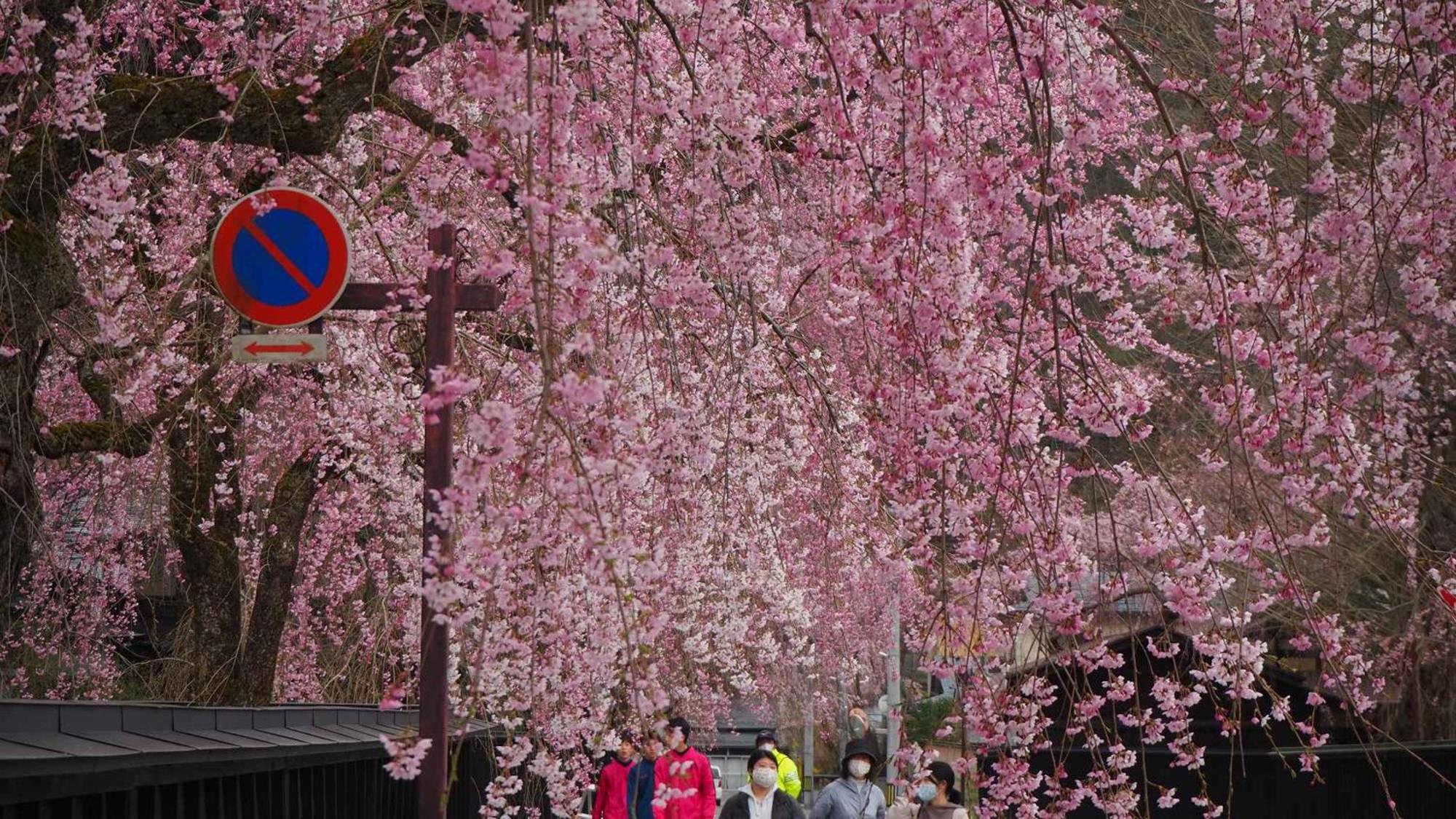 Kashintei Shirahama Hotel Semboku ภายนอก รูปภาพ